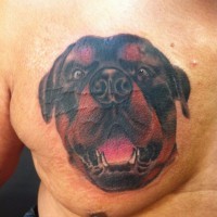 bellissimo ritratto di cane rottweiler colorato tatuaggio su petto