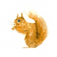 Marvelous orange-fur squirrel in profile tattoo design