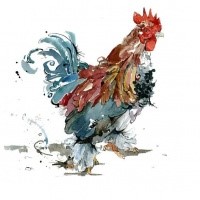 Multicolor fluffy rooster tattoo design