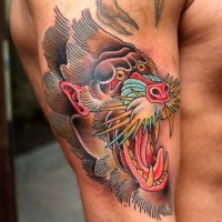 Tatuaje en el brazo,
babuino multicolor, neo tradicional