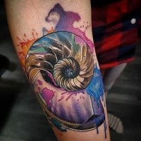 Tatuaje de antebrazo de color de estilo escolar nuevo de concha de nautilus