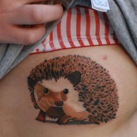Nice colorful hedgehog tattoo on side