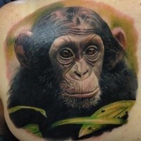 Nice realistic colorful chimpanzee head in tropics tattoo on beck