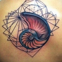 Old school style colored upper back tattoo of nautilus shell with geometrical figures