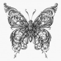 Original-designed butterfly tattoo design by Alex Konahin