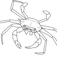 Outline marine crab with extra long claws tattoo design