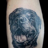 Pleased black-ink rottweiler head tattoo