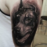 Portrait of a dog best friend tattoo on half sleeve