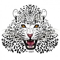 Rageful brown-eyed roaring jaguar tattoo design