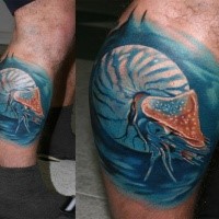Foto real como tatuaje de nautilus de color en la pierna