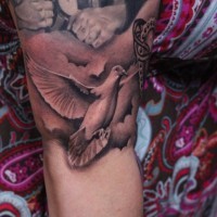 realistico americano classico colombo volante tatuaggio su braccio