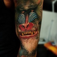 Tatuaje en el brazo, retrato de babuino multicolor