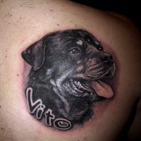 Realistic black rottweiler head tattoo on upper back