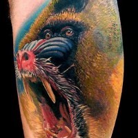 Tatuaje  de babuino peligroso abigarrado