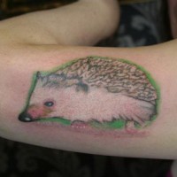 Realistic color-ink hedgehog tattoo on upper arm