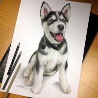 Realistic colored dog in full size tattoo design