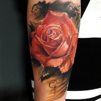 Tatuaje en el antebrazo, rosa roja en el fondo oscuro