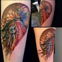 Tatuaggio del braccio colorato dall'aspetto realistico di grande nautilo