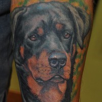 realistico testa cane Rottweiler su sfondo verde tatuaggio su braccio