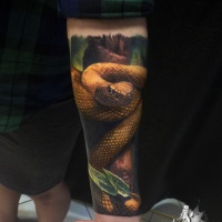 Tatuaje realista de serpiente en el antebrazo