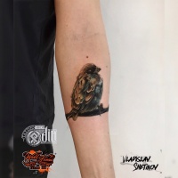 Realistic sparrow tattoo on forearm