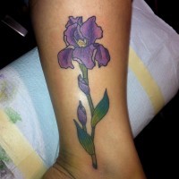 Realistic violet iris flower tattoo on shin