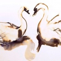 Romantic brown watercolo swan couple tattoo design