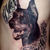 Severe black-ink doberman with quote tattoo on side