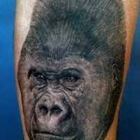 Severe black-ink gorilla head tattoo on arm