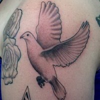 Einfaches Tattoo mit schwarzweßer Taube am Oberarm