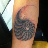 Tatuaje de antebrazo de tinta negra estilo punto simple de concha de nautilus