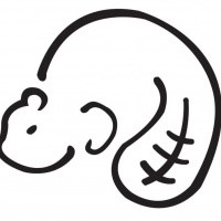 Simple outline rodent tattoo design