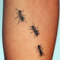 Einfaches Tattoo mit realistischen schwarzen Ameisen am Arm