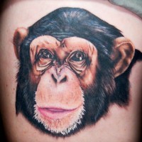 Small awesome colorful chimpanzee head tattoo on side