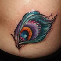 Tatuaje en el costado, pluma de pavo real linda