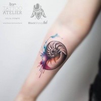 Pequeño lindo color nautilus shell shell tatuaje en el antebrazo