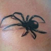 3d black spider tattoo