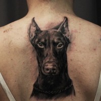 Tatuaje  de dóberman  negro en la espalda
