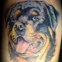 Tatuaje  de rottweiler imponente en el brazo