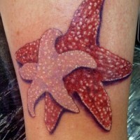 Super red and pink starfish tattoo for women on shin