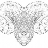 Superb outline ornate ram tattoo design