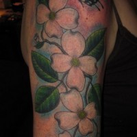 Tender colorful dogwood flowers and butterfly tattoo on upper arm