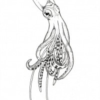 Thin black-and-white octopus tattoo design