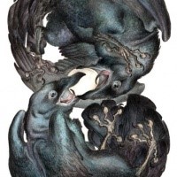 Two black curled ravens tattoo design