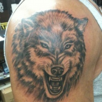 Wolf head tattoo on shoulder