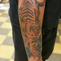 Wonderful colorful hunting tiger tattoo on outer forearm