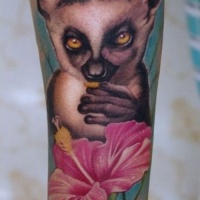 Wonderful realistic colorful lemur with pink flower tattoo on arm