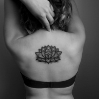 Wonderful thick-line black tribal lotus flower tattoo on back