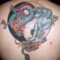 Tatuaggio colorato i dragoni & il disegno in stile Yin-Yang
