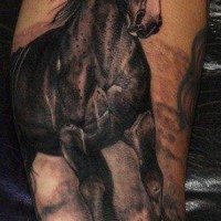 Pferd in vollem Galopp Tattoo am Arm